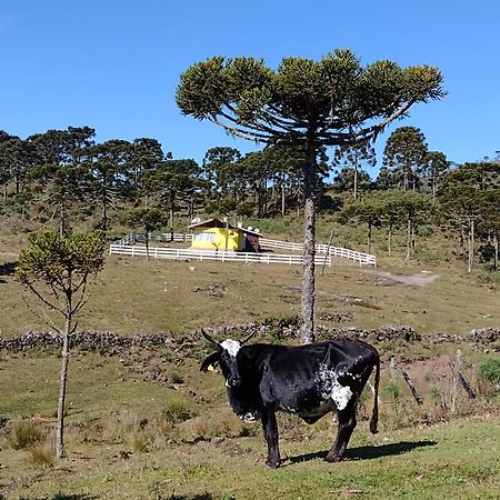Casa E Cabana De Campo Fazenda Borba Urubici Exterior foto
