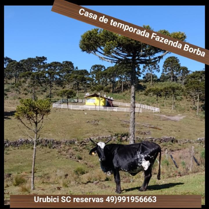 Casa E Cabana De Campo Fazenda Borba Urubici Exterior foto