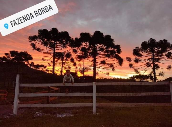 Casa E Cabana De Campo Fazenda Borba Urubici Exterior foto
