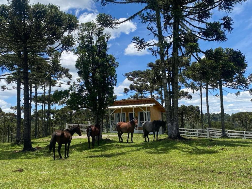 Casa E Cabana De Campo Fazenda Borba Urubici Exterior foto
