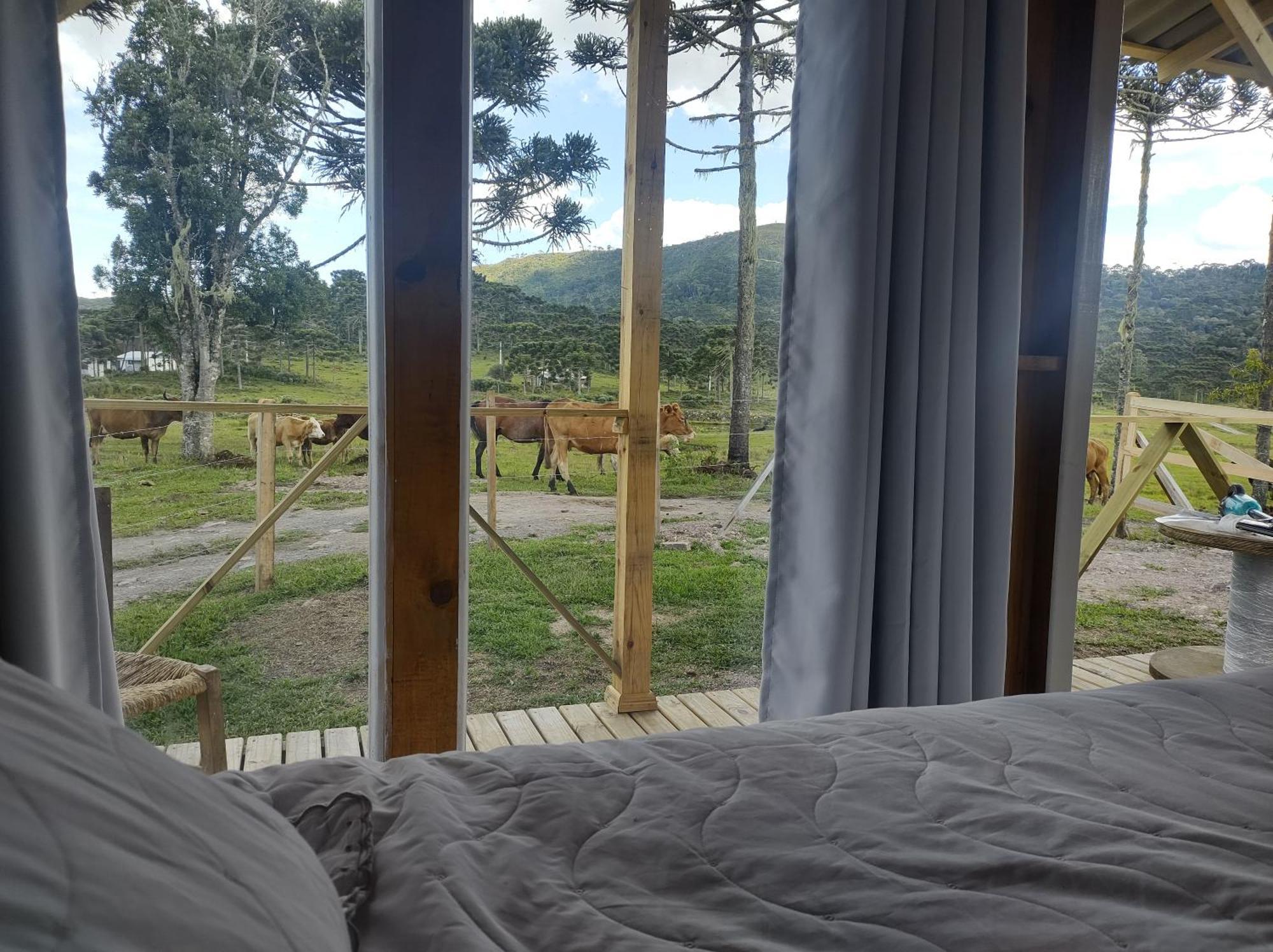 Casa E Cabana De Campo Fazenda Borba Urubici Zimmer foto